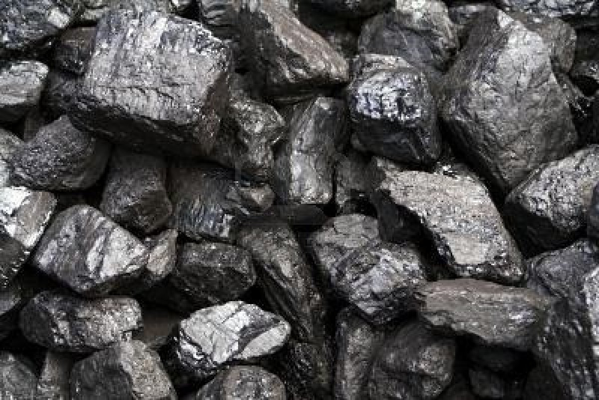 Steam coal price фото 8