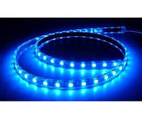 Светодиодная лента синяя (LED лента, неон) SMD 3528, 5м, синяя