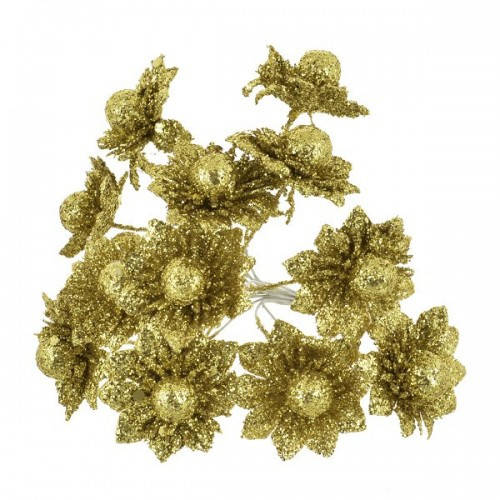 Золотые Хризантемы Фото