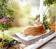 Кровать для кота. Оконная кровать SUNNY SEAT WINDOW MOUNTED CAT BED. Украина, фото 3