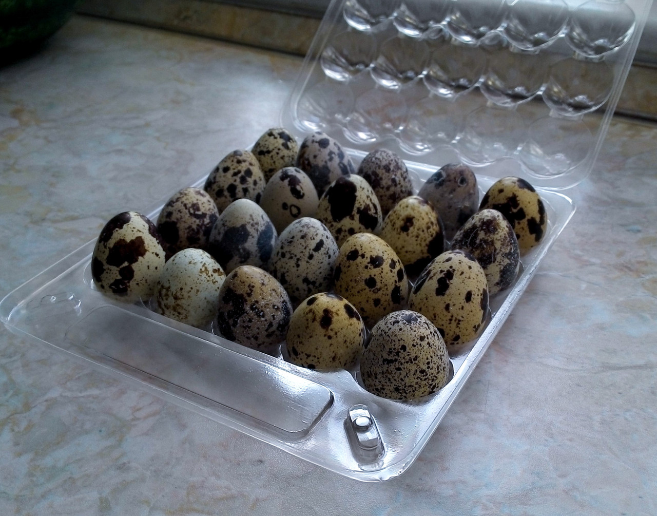 Перепела купить в московской области. Яйцо Qegg перепелийное 20шт. Перепелка яйца. Яйцо перепелиное. Упаковка для перепелиных яиц.