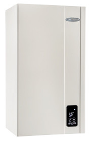 

Virgo CTFS 24 двухконтурный, турбо
