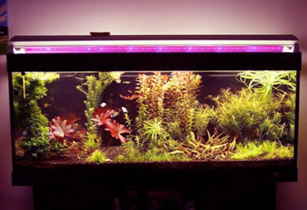 Подсветка аквариумов