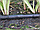 Крапельна стрічка щілинна "LABYRINTH" 500м 15см, фото 5