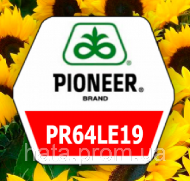 

Подсолнух PIONEER P64LE19