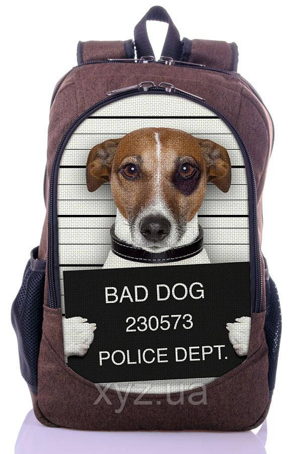 

Рюкзак New Design BadDog 44х28х15;, подросток(M)