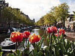 Экскурсионный тур в Европу "Майские праздники в Амстердаме", фото 4
