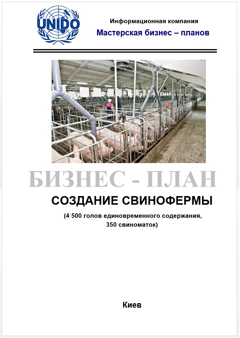 Бизнес план образец Бизнес план образец