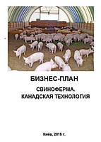 Бизнес План Бойня Крс Бизнес План Бойня Крс