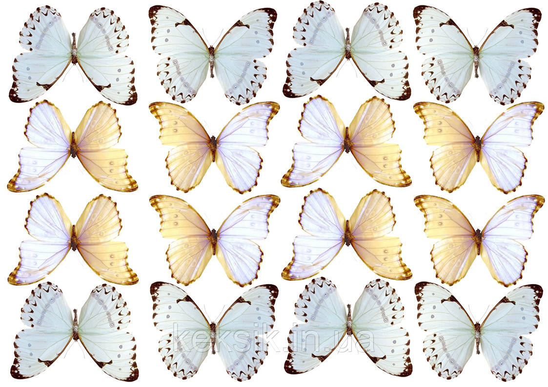 Бабочки для торта картинки для печати. Торт «бабочки». Вафельные бабочки. Бабочки фотопечать. Бабочки на вафельной бумаге.