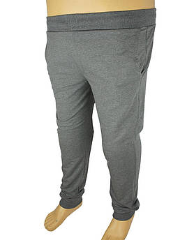 Чоловічі спортивні штани Fabiani 5736 B сірі