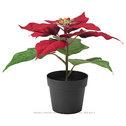 ФЕЙКА Искусственное растение в горшке, "Рождественская звезда" красный, 50320966, ИКЕА IKEA, FEJKA