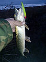 Воблер Fishing 3D Series 110mm, фото 8