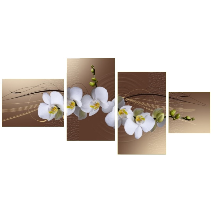 Картинки по запросу "квіти орхідеї білі"