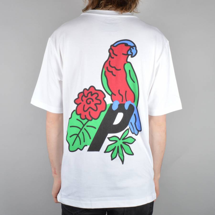 

Футболка мужская с принтом Palace skateboards-parrot