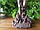 Статуетка Veronese Архангел Зерачиил 74981A4, фото 4