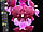 Орхідея Сорт Hot Kiss (биглип) розмір 2.5" без квітів., фото 4