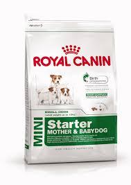 Royal Canin (Роял Канин) MINI STARTER - первый твердый корм для щенков мини пород 8,5 кг