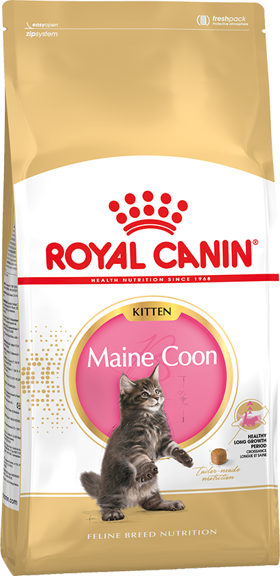 Royal Canin (Роял Канин) MAINE COON Kitten Сухой корм для котят породы мейн-кун, 2 кг