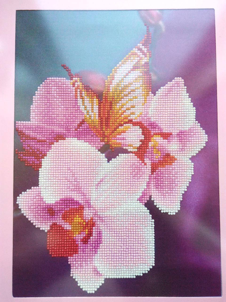 Картины стразами алмазная живопись орхидеи
