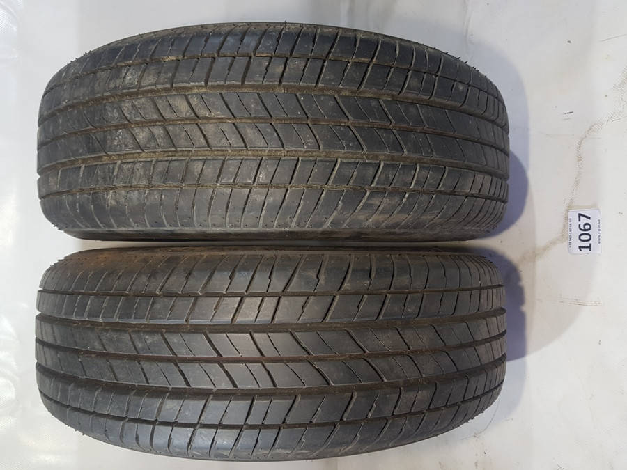 

Пара летних покрышек 195.60 R15 Bridgestone Turanza