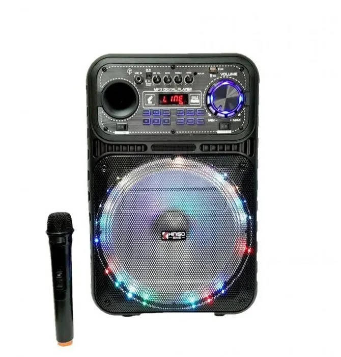 

Портативная беспроводная bluetooth-колонка DS-1206 USB / AUX, MicroSD / TF, FM-радио, MP3, LED дисплей,